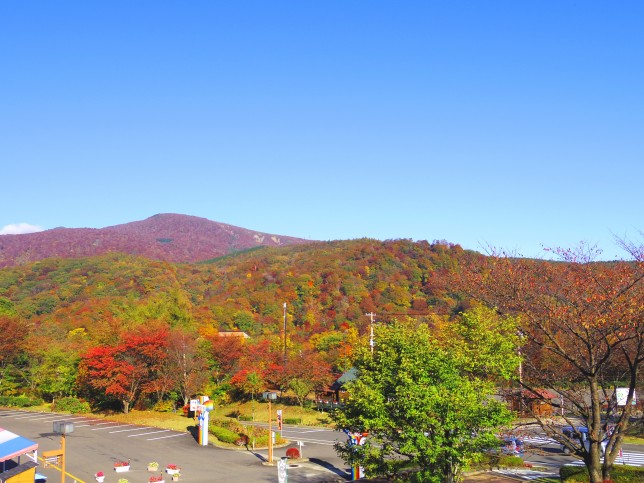 那須紅葉