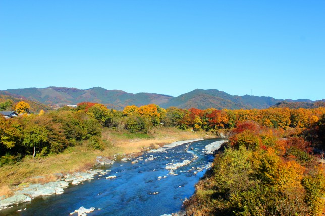 長瀞紅葉キャンプ