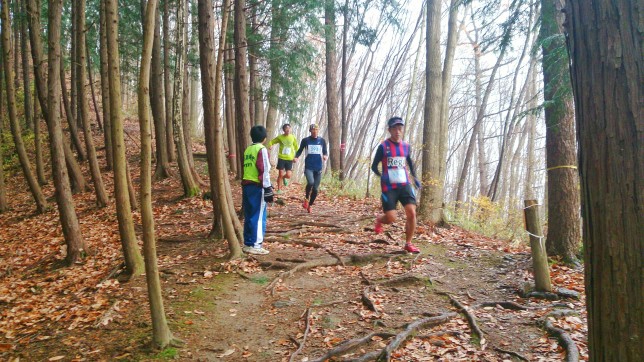 お宝登山長瀞アルプストレイルレース