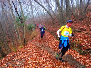 お宝登山長瀞アルプストレイルレース