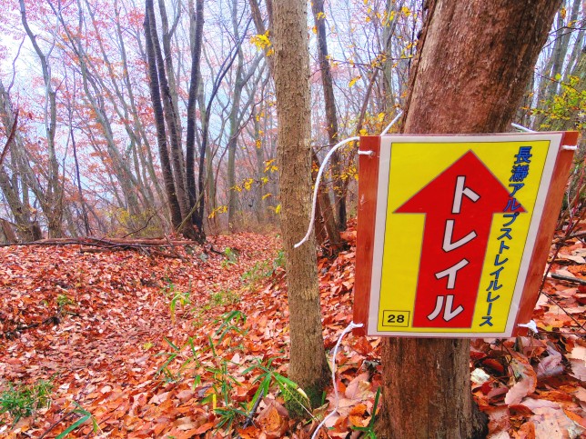 お宝登山長瀞アルプストレイルレース