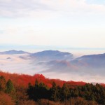 東京から１番近い雲海スポット!?秩父で雲海が見れる！