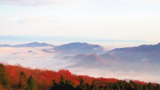 東京から１番近い雲海スポット!?秩父で雲海が見れる！