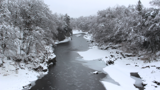 2年ぶりに長瀞、奥多摩で大雪が降った！