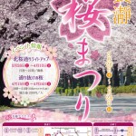 『長瀞 桜まつり』3月26日より開催！