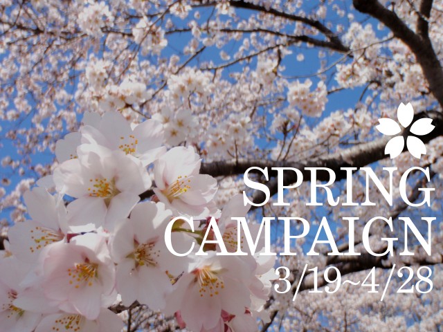 ”春”キャンペーン